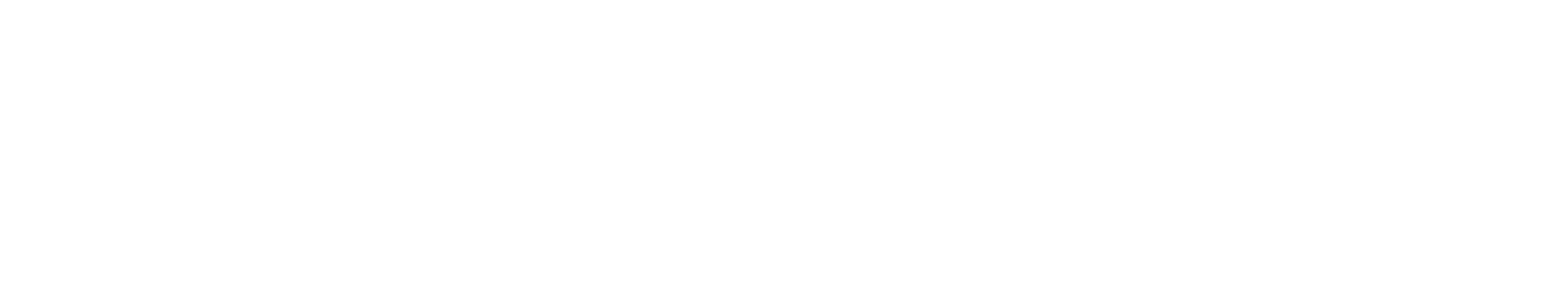 Velveti NULA logo_white_huge